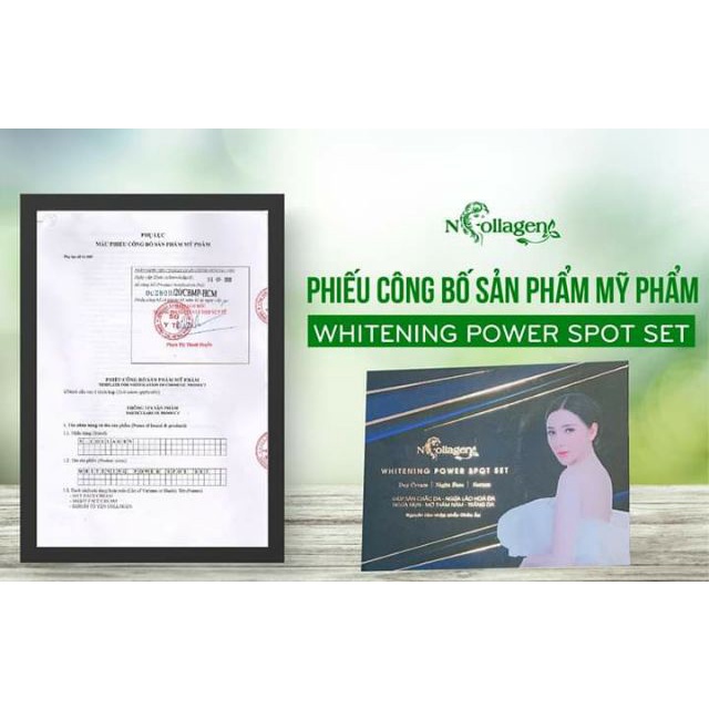 KEM FACE TỔ YẾN NGÀY N'COLLAGEN cao cấp - Đánh bay nám, tàn nhang, mụn, nâng cơ mặt, Chống nắng CHÍNH HÃNG