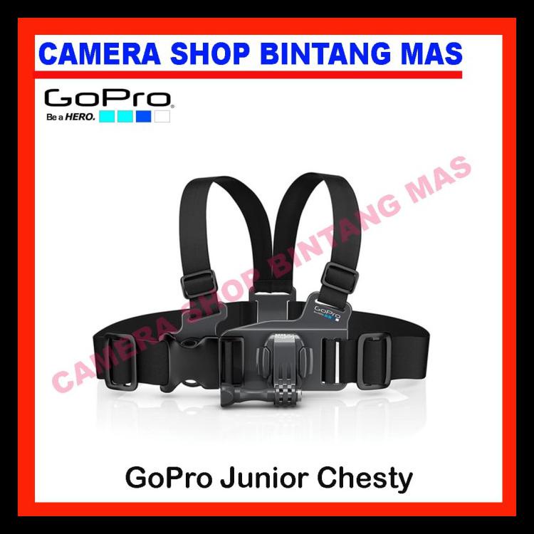 GOPRO Goopro JUNIOR CHESTY | BigBuy360 - bigbuy360.vn