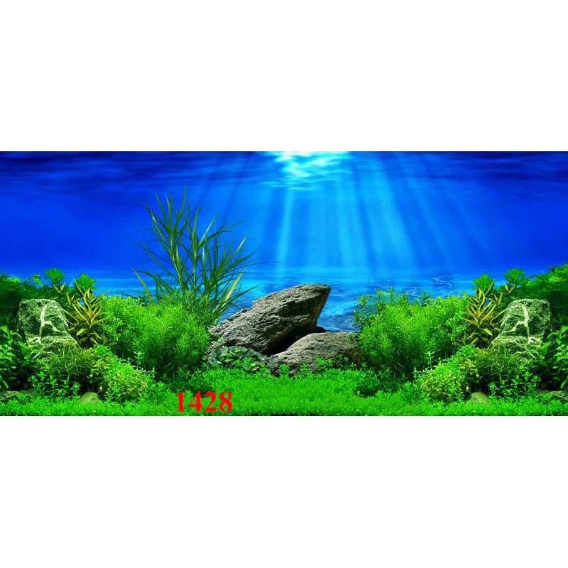 Tranh 3d dán bể cá trang trí bể cá nhiều kích thướt chọn lựa-Decal dán hồ cá 3D siêu đẹp_ giá rẻ