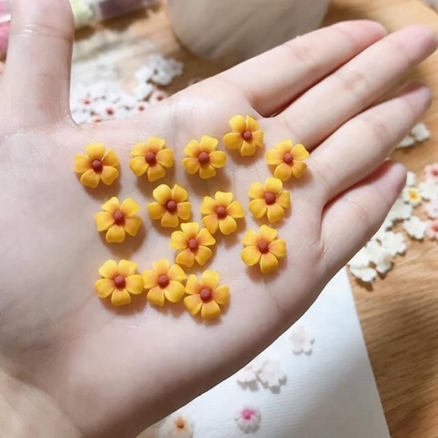 Combo 30 bông