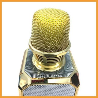 Micro karaoke SD 10