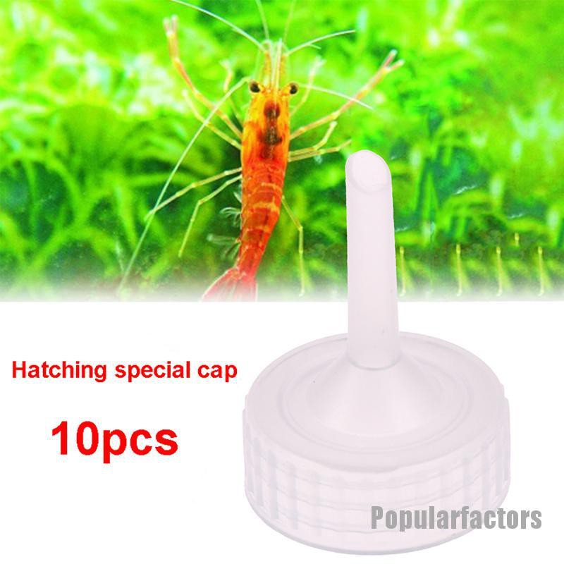 Bộ 10 Dụng Cụ Điều Chỉnh Nước Bể Cá