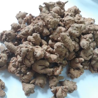 CỦ TAM THẤT BẮC LOẠI 7 CỦ/100G