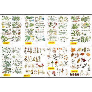 Sticker washi A4 [HOA + HẠT GIỐNG] dạng lì trang trí bullet journal siêu đẹp MẪU 2 (106007-106014)