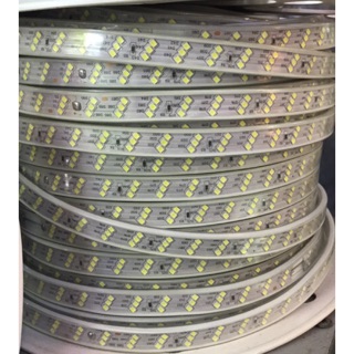 Dây led 2835 ba hàng bóng combo 10m