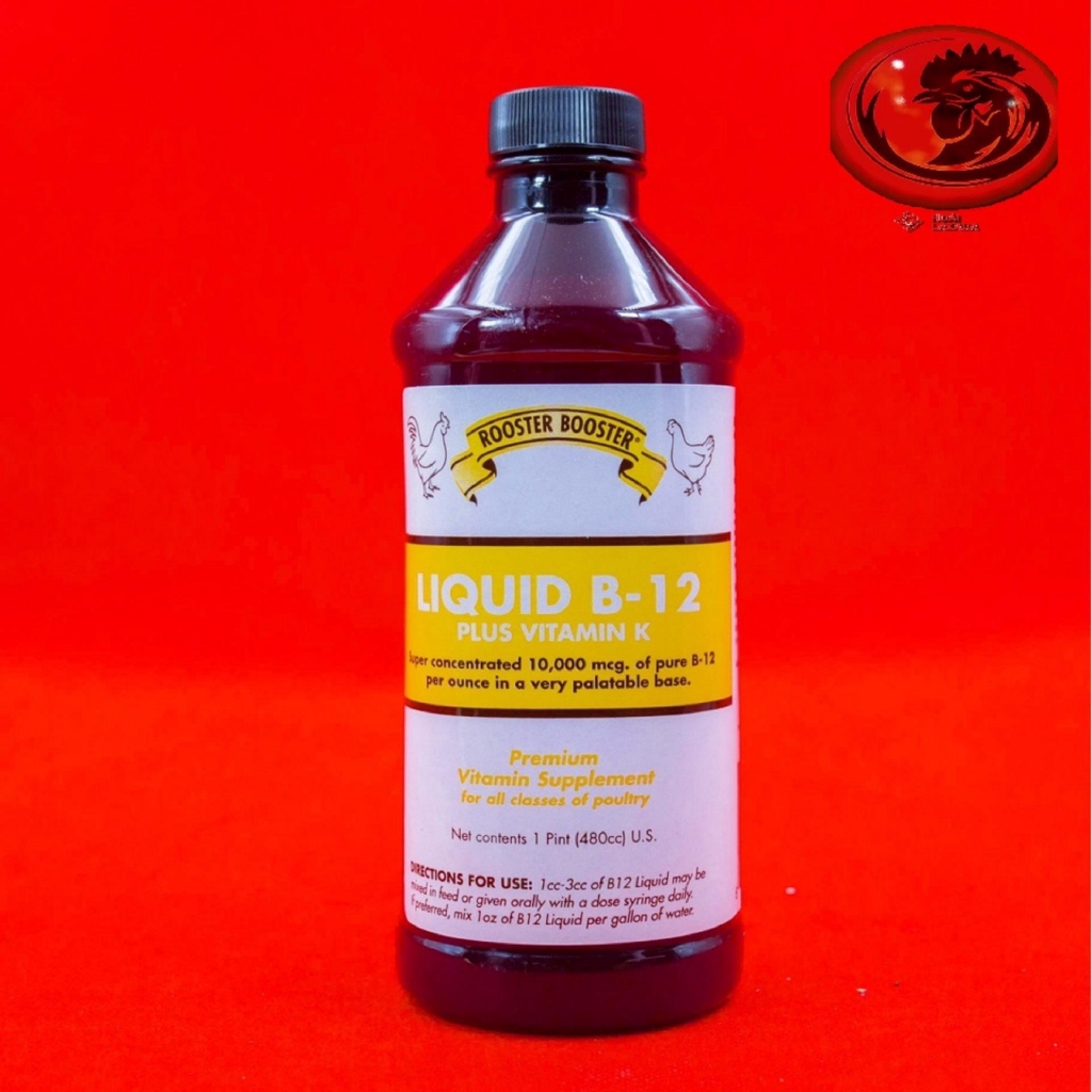 LIQUID B12 PLUS gà mau cự dinh dưỡng dành cho gà đá - Thuốc gà đá A Long