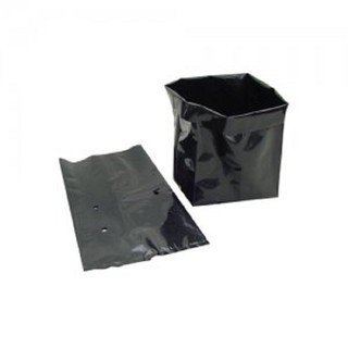 Túi bầu ươm cây giống nhiều size (1 ký)