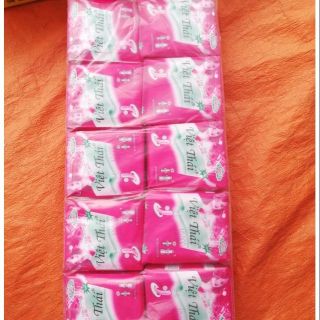 băng vệ sinh Việt Thái có cánh siêu thấm(si 10 goi)