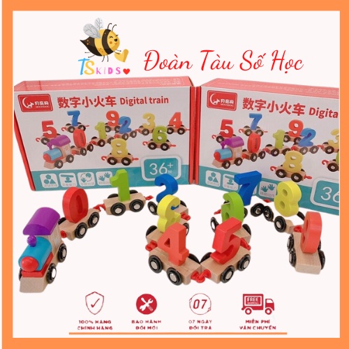 ĐOÀN TÀU SỐ HỌC- ĐOÀN TÀU NAM CHÂM -ĐỒ CHƠI GỖ TRÍ TUỆ CHO BÉ - TS Kids