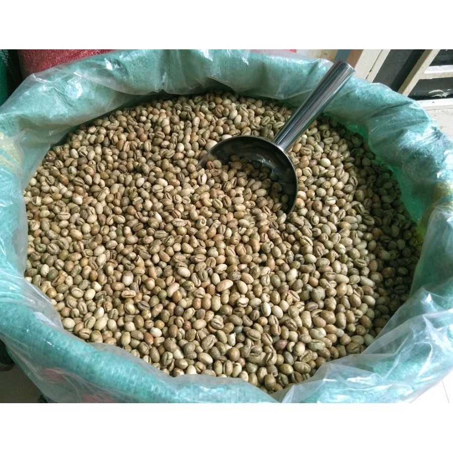 ☕ Cà Phê Nhân Sống ROBUSTA - Chưa Rang - Nguyên Liệu Sạch ( 1KG )