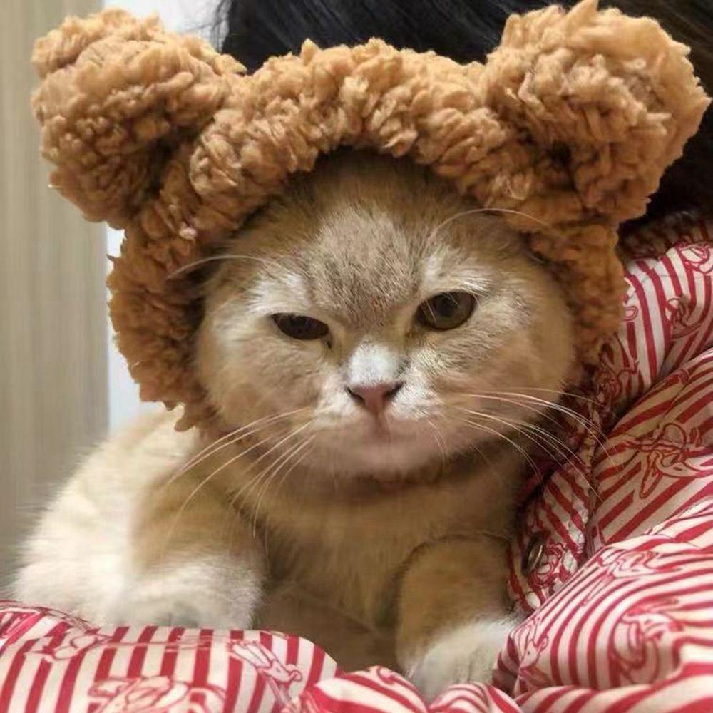 Mũ Đội Đầu Dễ Thương Dành Cho Thú Cưng