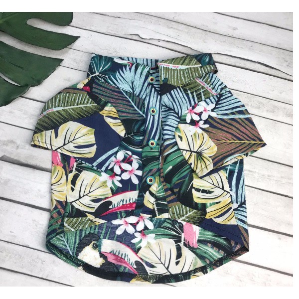 Áo đi biển cho thú cưng