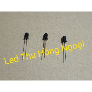 Bóng Led Thu Hồng Ngoại