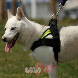 dây dắt yếm police cho chó