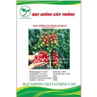 Hạt giống cà chua bi đỏ f1 ct278 - gói 30 hạt