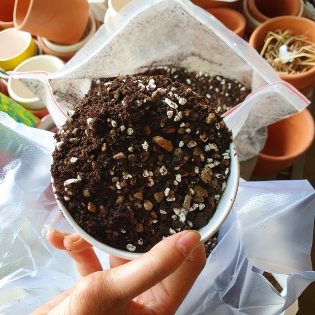 Đất trồng sen đá soilmix 1kg