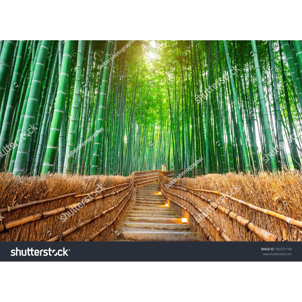 Tranh lụa 3d Phong Cảnh Nhật Bản PCNB-06