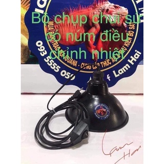 Chụp đèn sưởi cho bò sát