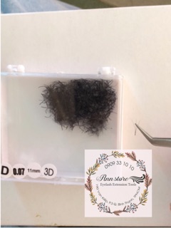 Mi fan sẵn 3d