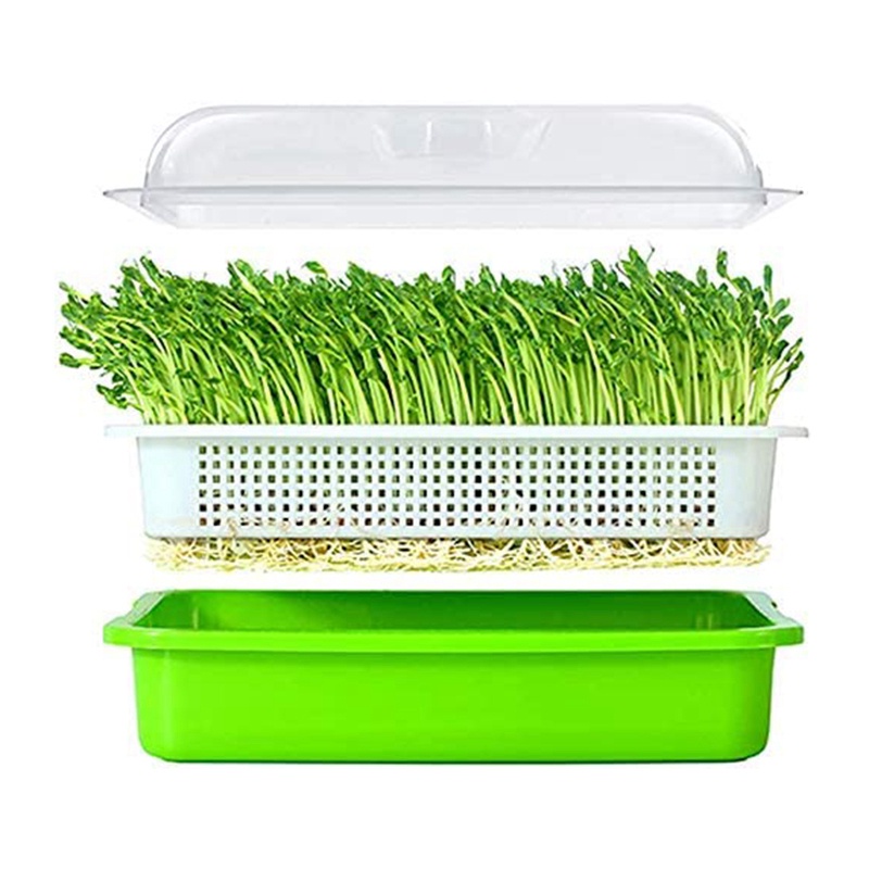 Set 3 Khay Trồng Cây Mầm Không Cần Đất Sức Chứa Lớn Có Nắp Đậy