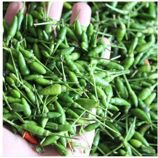 Hạt giống ớt xiêm xanh - gói 0.1 gram