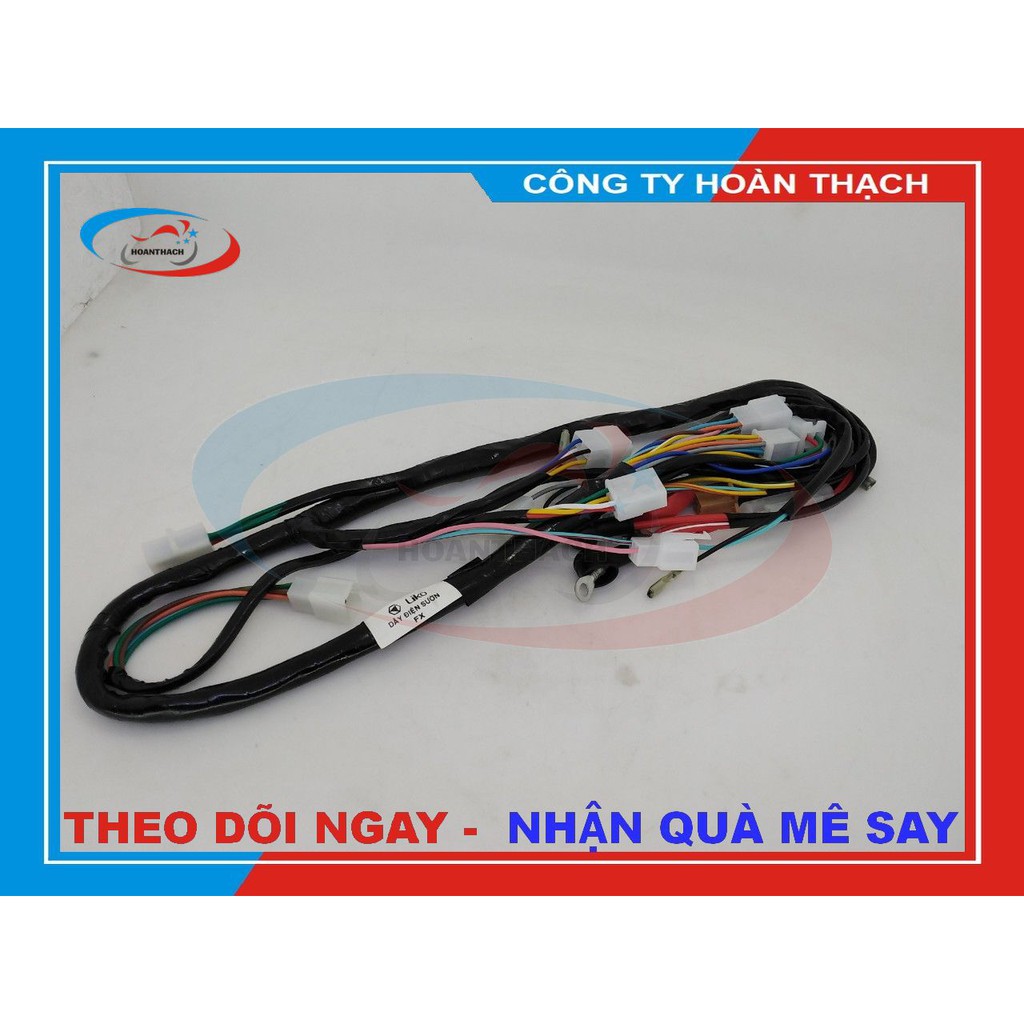 BỘ DÂY ĐIỆN SƯỜN XE MÁY FX 125