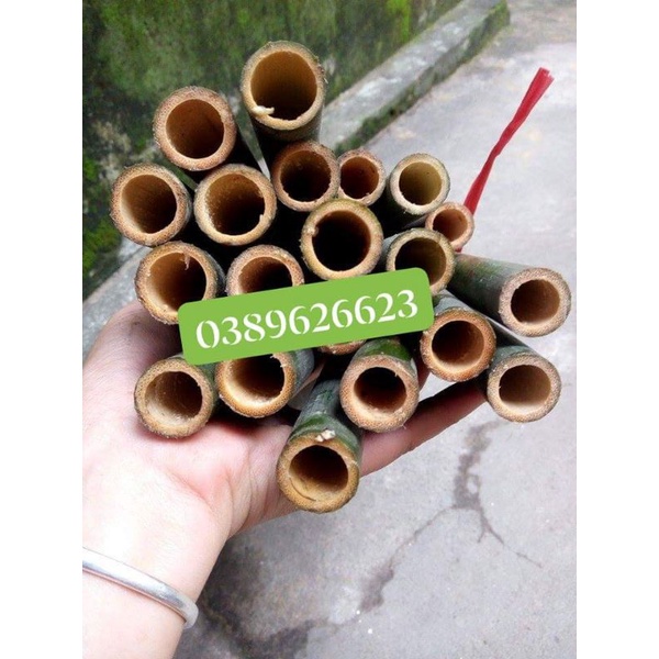 10 ống nứa làm sáo 5k/1 ống