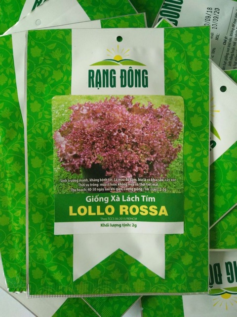 (Rau ngắn ngày) Hạt giống Xà Lách Tím Lollo Rossa dành cho gia đình