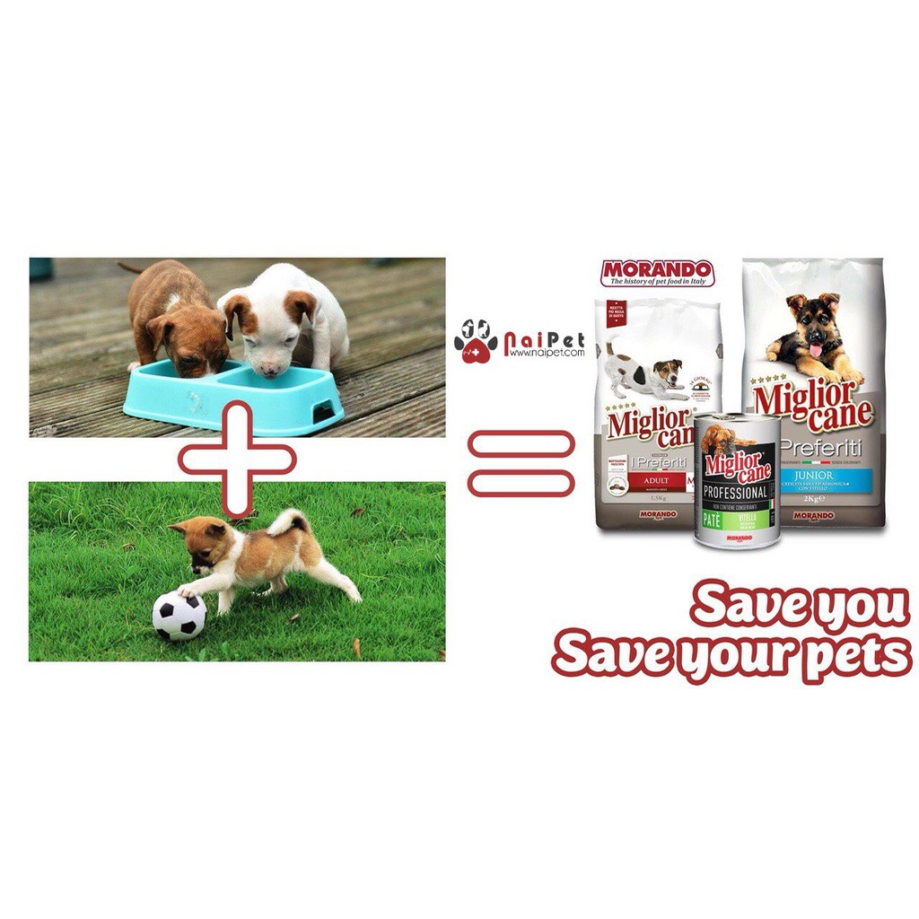 Thức Ăn Hạt Khô Cho Chó Vị Thịt Bê I Preferiti Miglior Cane Morando 2kg