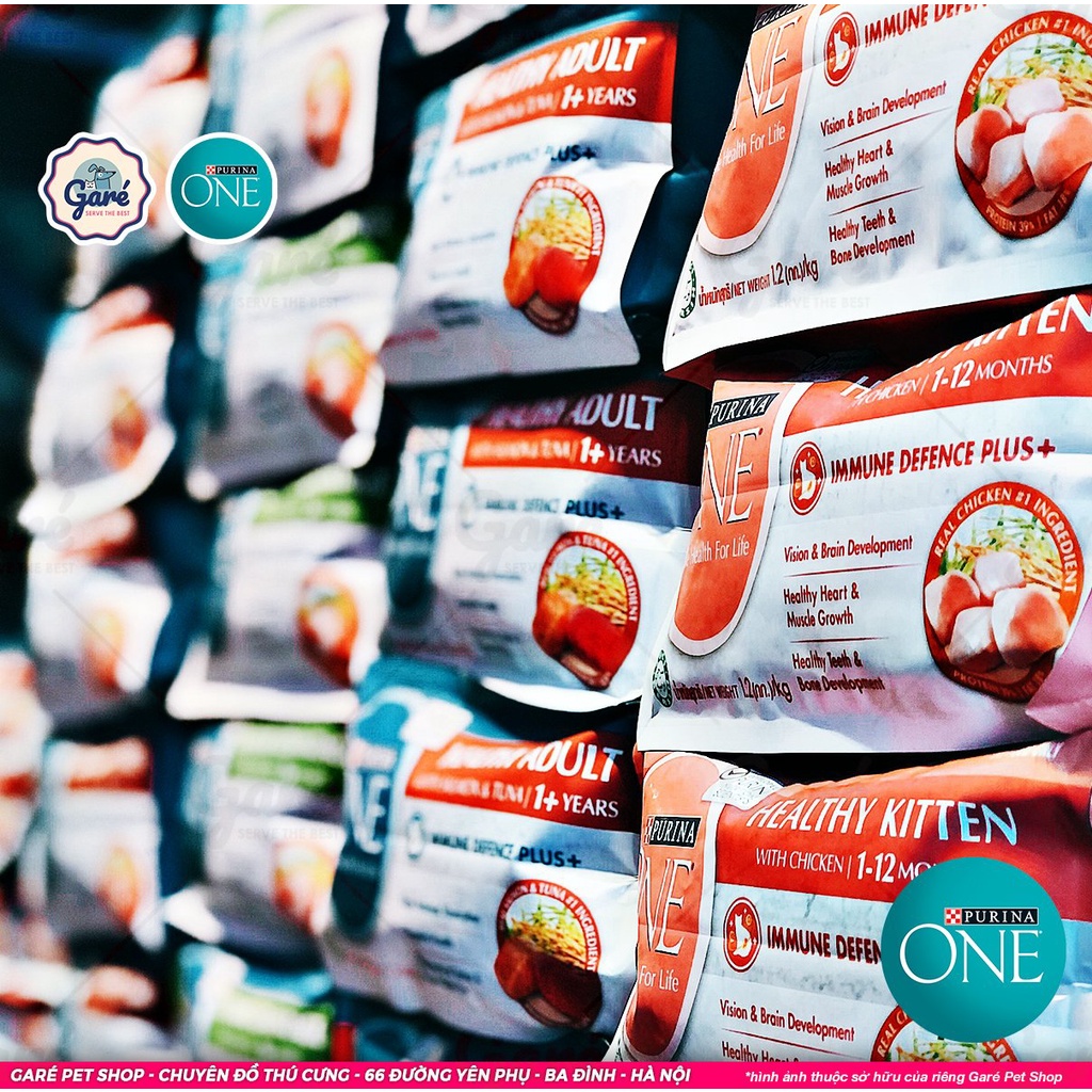Hạt Purina One dành cho Mèo con, Mèo trưởng thành, Tiết niệu - Healthy Kitten, Indoor Advatage, Healthy Adult, Urinary