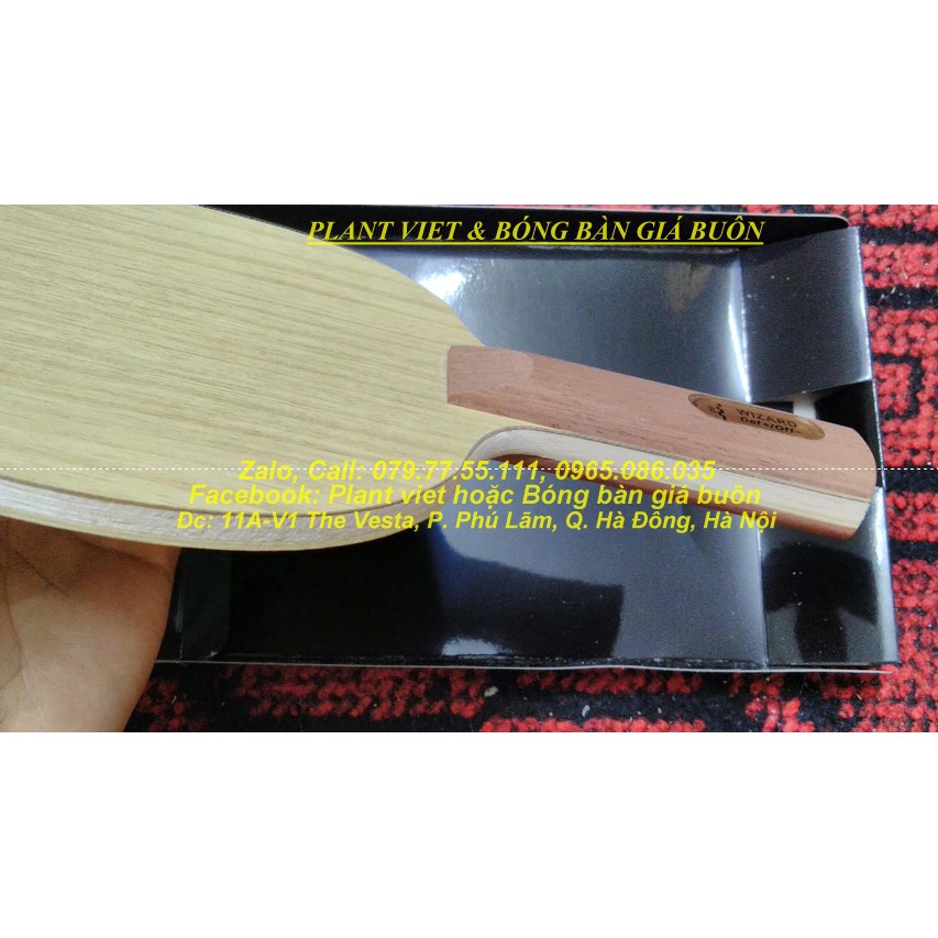 Cốt vợt bóng bàn cho người chơi gai  Der-materialspezialist Wizard CHÍNH HÃNG
