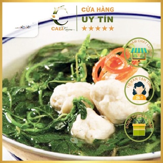 Hạt giống Rau Dền Cơm Rado 86 (10gr)