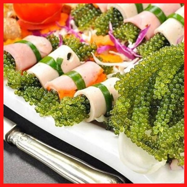 Rong nho Sabudo - 1 gói dùng thử 20g - có tặng kèm 1 gói nước sốt mè rang 15ml | BigBuy360 - bigbuy360.vn