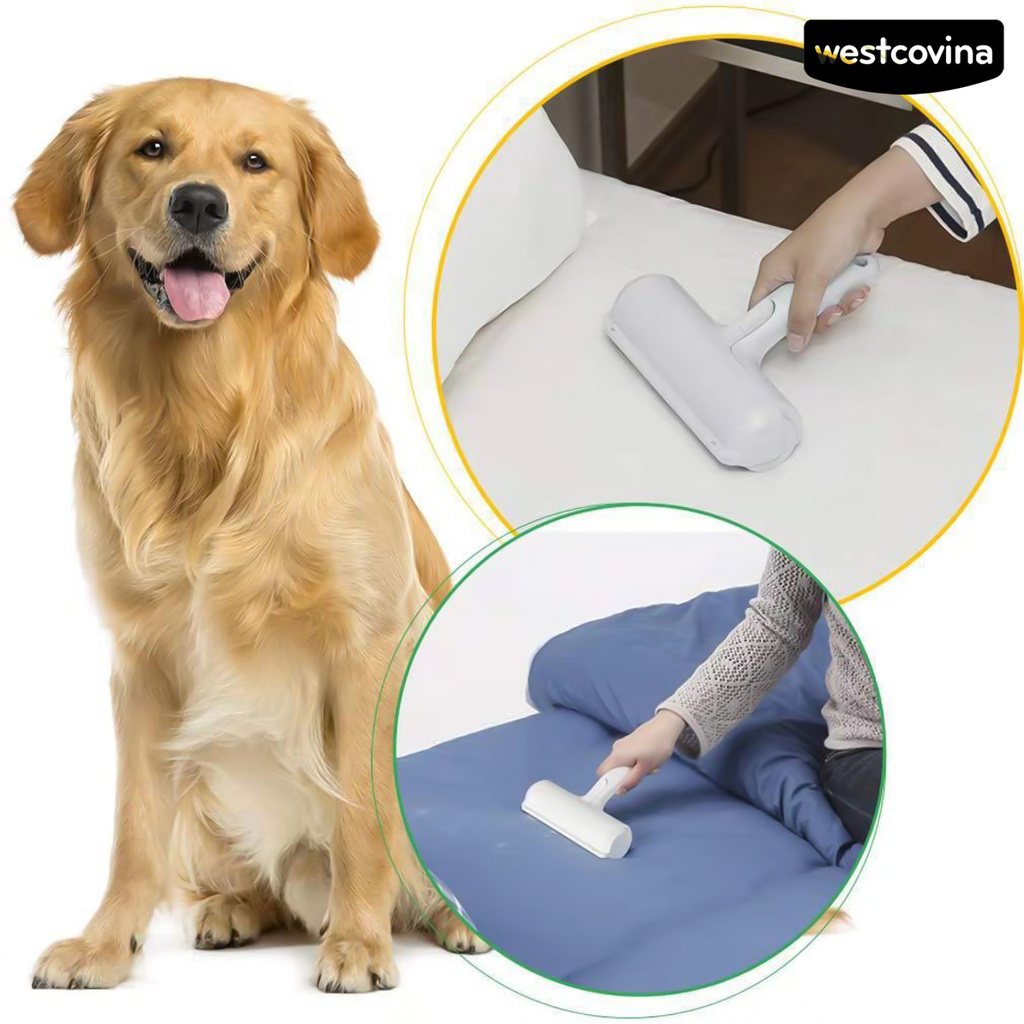 Cây lăn tự làm sạch loại bỏ lông chó mèo tiện dụng