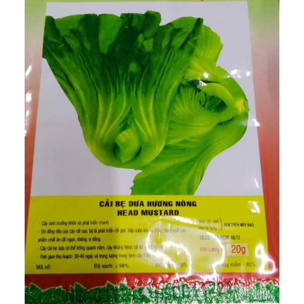 HẠT GIỐNG CẢI BẸ DƯA (TÒA XẠI) - GÓI 20 GRAM