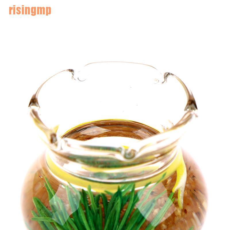 Mô Hình Trang Trí Bể Cá Thu Nhỏ &amp; X House