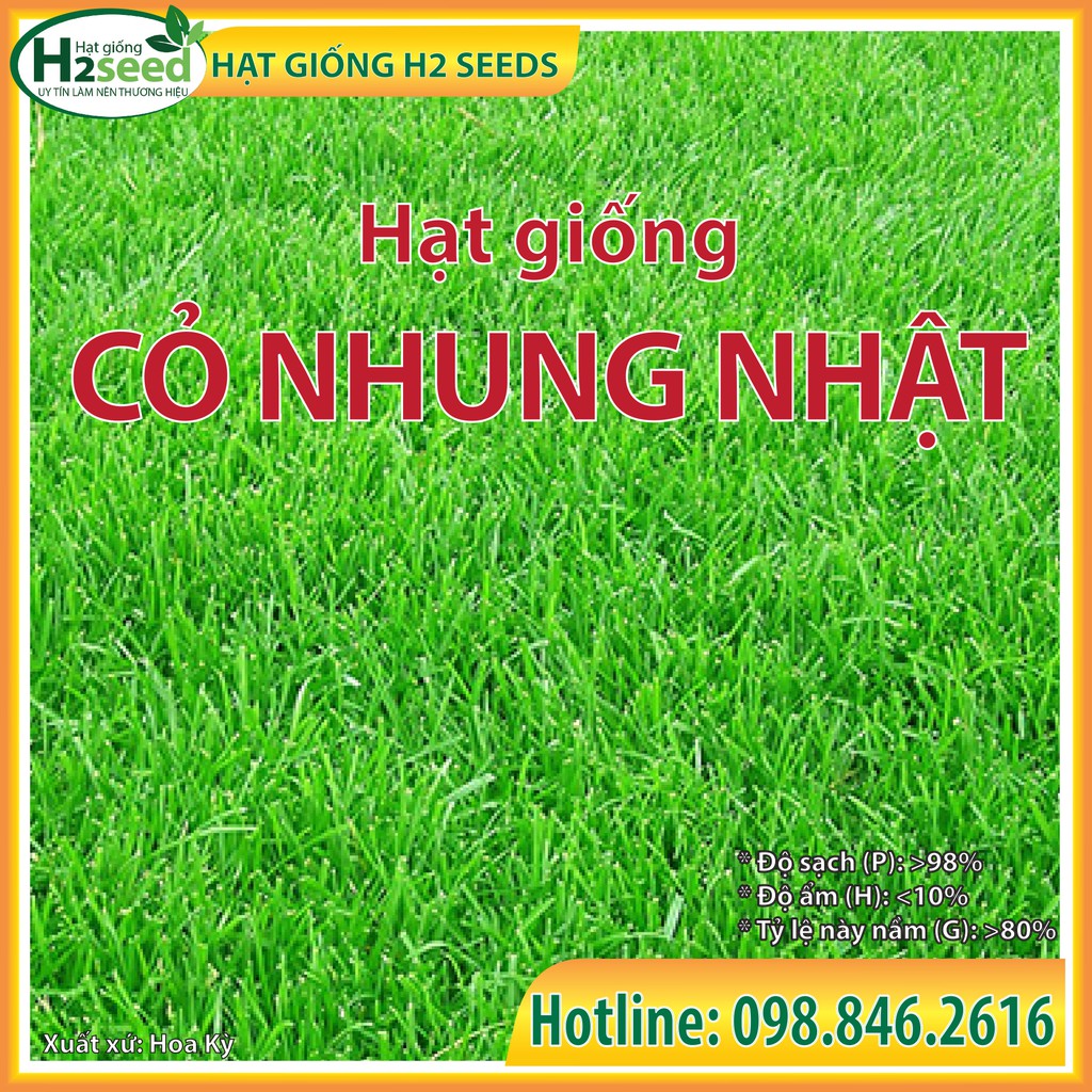 Hạt Giống Cỏ Nhung Nhật - Gói 1kg - Hạt Cỏ Thảm - Cỏ Trang Trí Công Trình - Cỏ Sân Vườn