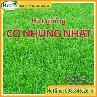 Hạt Giống Cỏ Nhung Nhật - Gói 50g - Cỏ Thảm - Cỏ Sân Vườn - Cỏ Công trình
