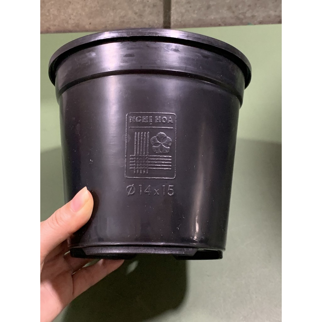 Chậu nhựa cứng 14x15 (cm) chậu cây Thakico !