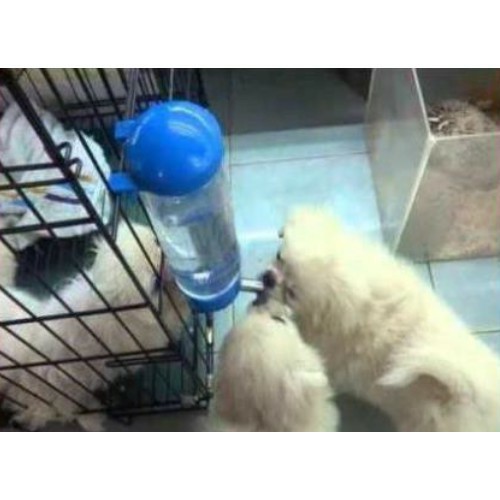 Bình nước cho chó mèo - Bình nước tự động gắn chuồng 400ml cho chó mèo