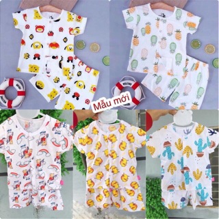 Bộ cotton giấy