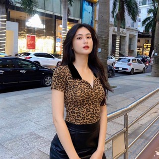 Áo kiểu nữ polo da beo