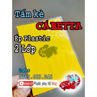 Tấm Nhựa che cá betta có in hình cá betta , tấm cảng cá betta giúp cá betta kè sung