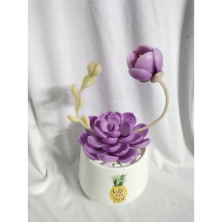 Chậu sen đá đất sét đường kính 10cm