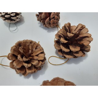 Trái thông trang trí noel