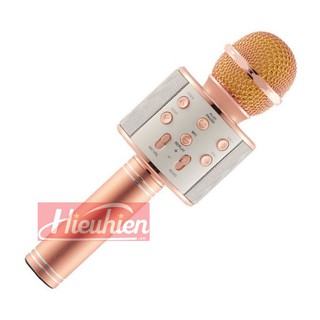 MÍC HÁT KARAOKE WS-858