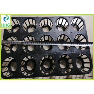 3 KHAY NHỰA CỨNG 15 LỖ TRỒNG RAU ƯƠM MẦM