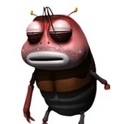 áo thú cưng