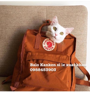 Balo Kanken Mini-Classic-Maxi