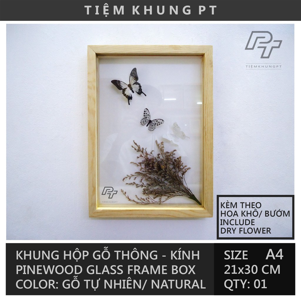 Khung ảnh A4 21x30 Hộp B1 - Khung hình gỗ thông mặt kính handmade - Picture Frames Tiệm Khung PT